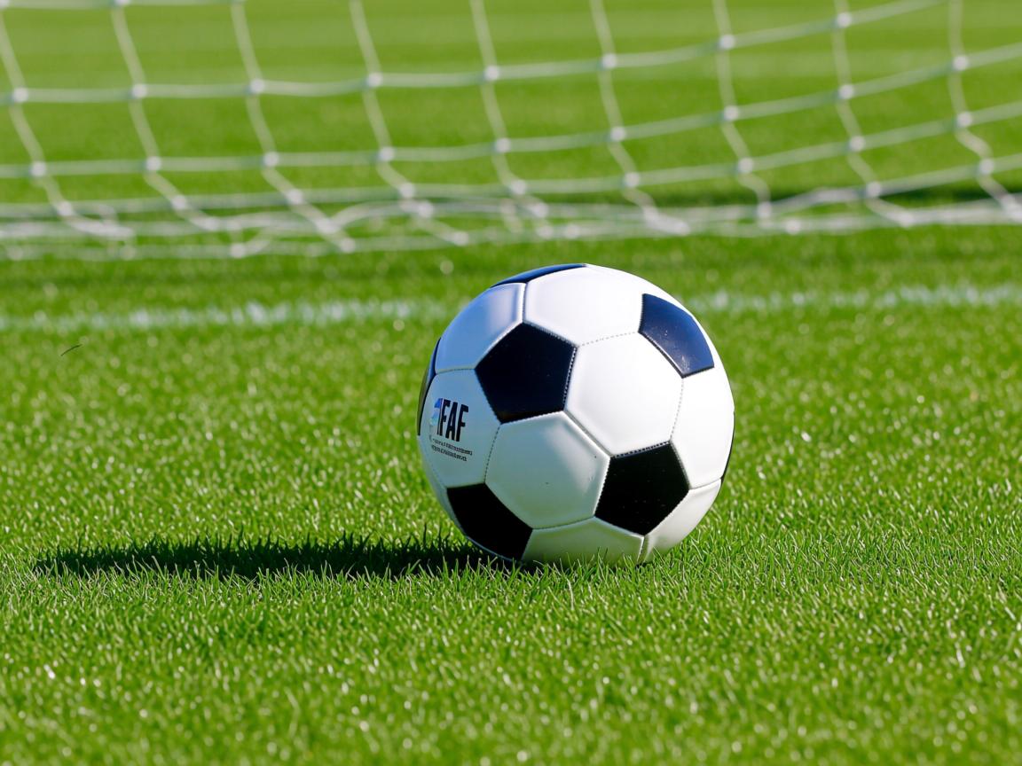 九游官网入口注册-中国男篮狠抓基本功 夯实进攻体系基础,中国男篮训练强度 第3张